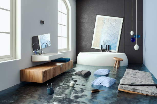 Best Water damage cleanup near me  in Tton, IL