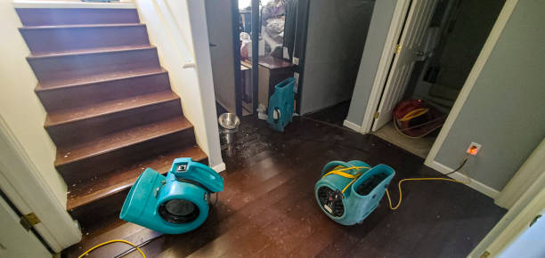 Best Water damage restoration mold remediation  in Tton, IL