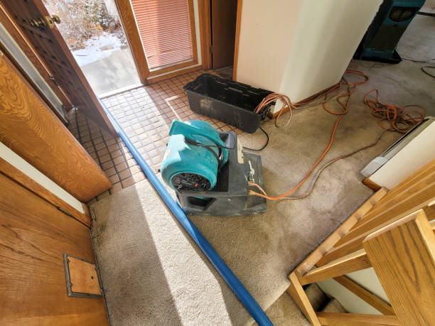 Best Flooded house restoration  in Tton, IL