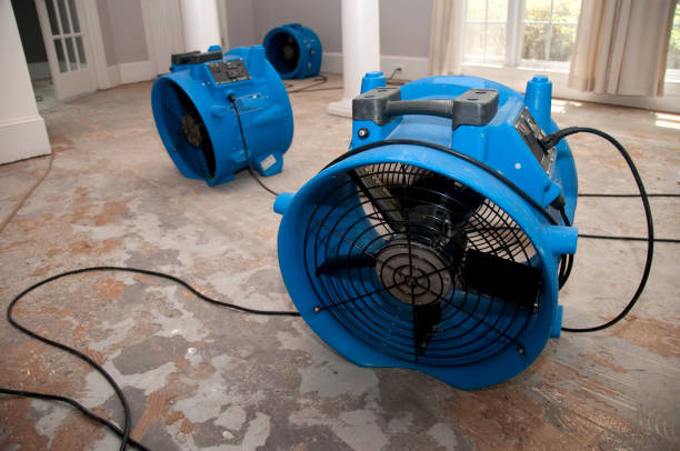 Best Water damage restoration specialists  in Tton, IL