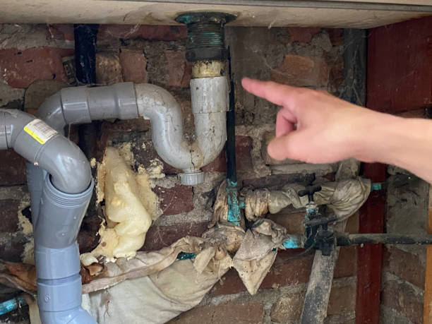 Best Water damage restoration near me  in Tton, IL